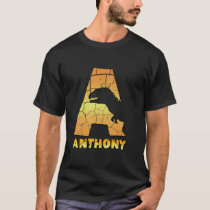 Camiseta Anthony chicos personalizados dinosaurio lindo per
