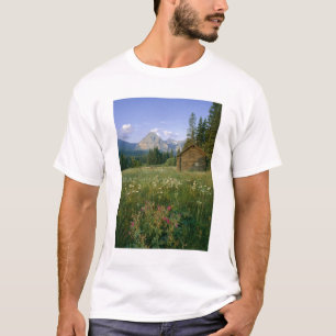 Camiseta Antigua cabaña del Servicio de Parques en el valle