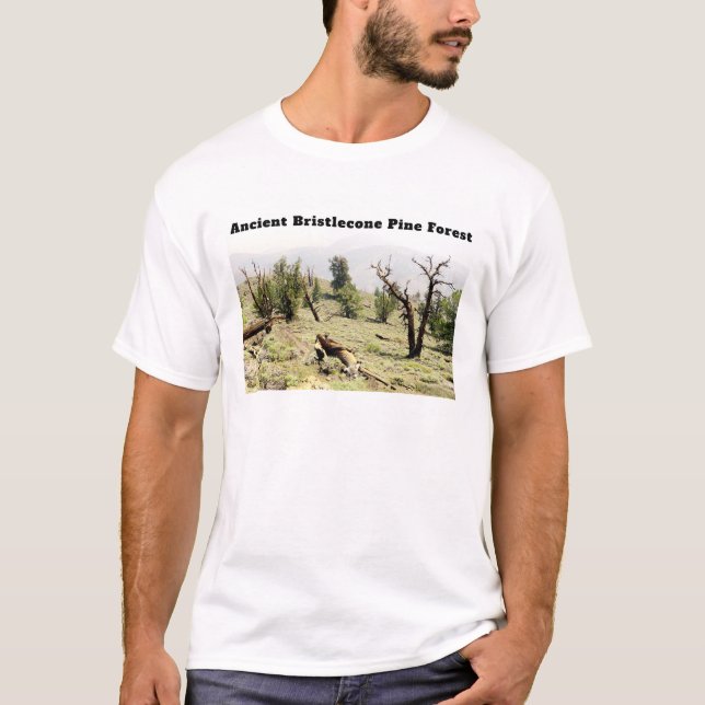 Camiseta Antiguo bosque Bristlecone Pine California (Anverso)