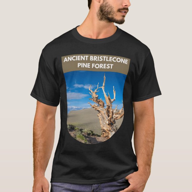 Camiseta Antiguo bosque de pinos Bristlecone - California (Anverso)