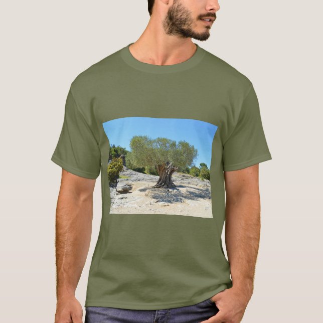 Camiseta Antiguo olivo francés (Anverso)