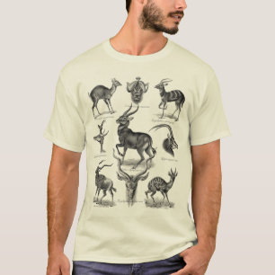 Camiseta Antílopes