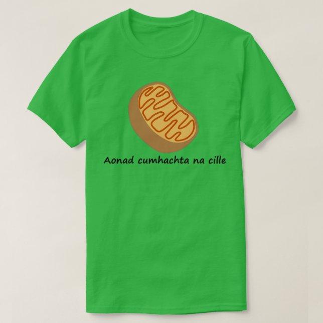 Camiseta Aonad cumhachta na cille (Diseño del anverso)