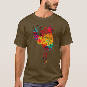 Camiseta Aorta y corazón 1