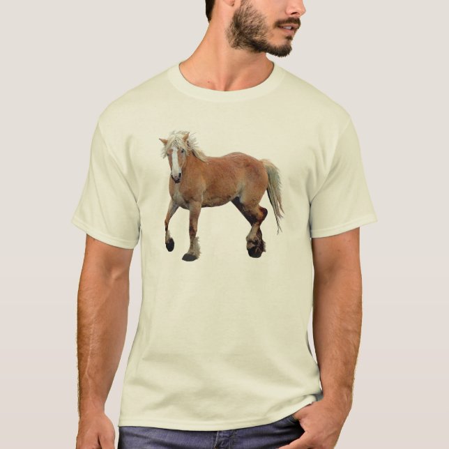 Camiseta Aparato deportivo de caballos Palomino Belga Borra (Anverso)