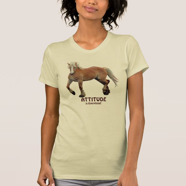 Camiseta Aparato deportivo de caballos Palomino Belga Borra (Anverso)