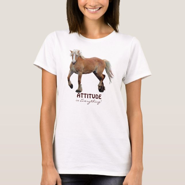 Camiseta Aparato deportivo de caballos Palomino Belga Borra (Anverso)
