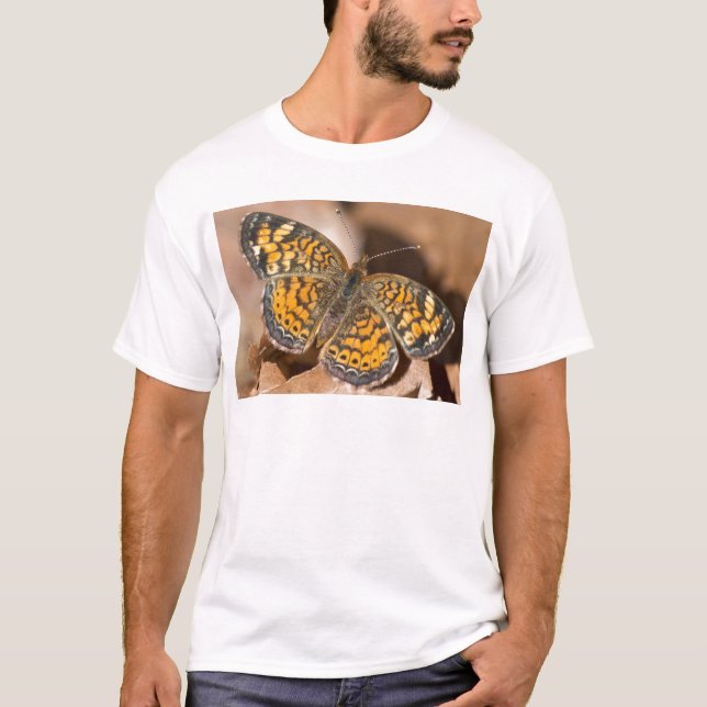 Camiseta Aparatos y regalos de tela marrón y Naranja (Anverso)
