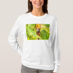 Camiseta apego tranquilo