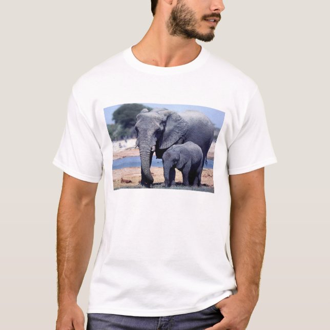 CAMISETA APENAS ELEFANTES (Anverso)