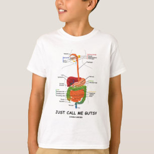 Camiseta Apenas llámeme osado (el humor del sistema