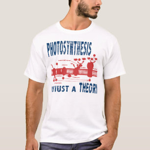 Camiseta Apenas una teoría