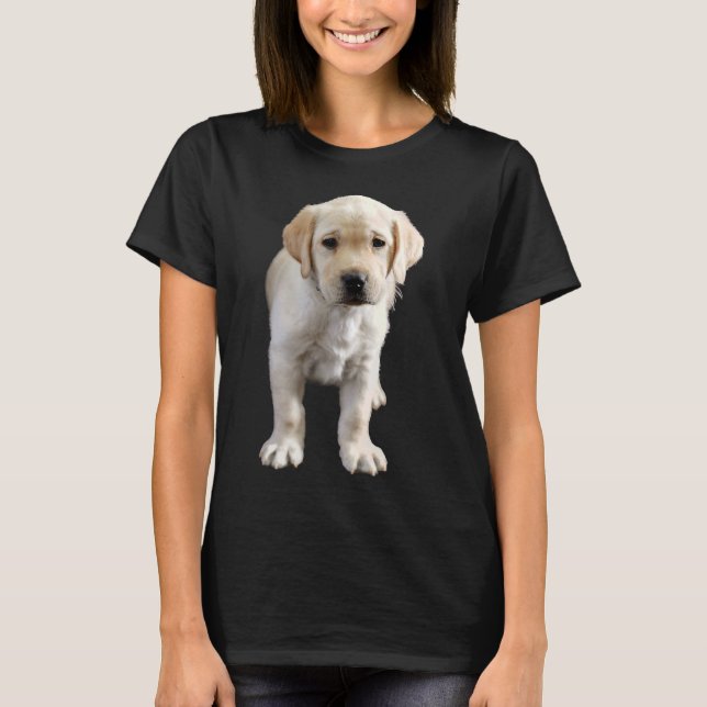 Camiseta Apito amarillo labrador de siete semanas (Anverso)