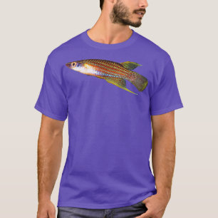 Camiseta Aplocheilus parvus Killifish