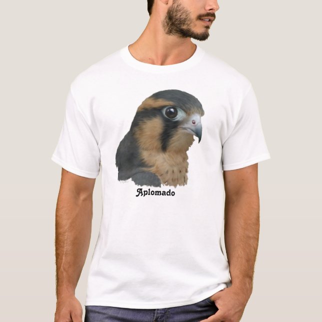 Camiseta Aplomado (Anverso)