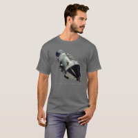 Apollo Commander