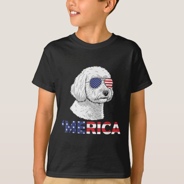 Camiseta Apoo Merica 4 De Julio Día De La Independencia (Anverso)