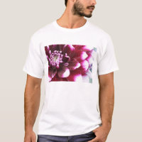 Apretado en fotografías de la flor de Dalia con la