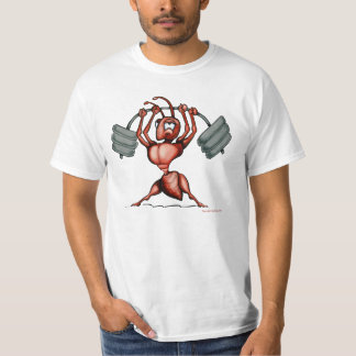 Camiseta Aptitud
