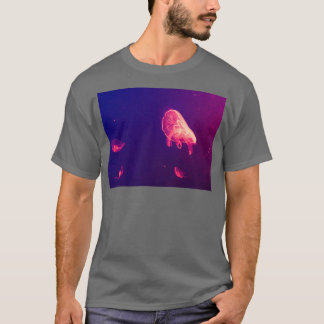Camiseta Aquarium Jelly Fish