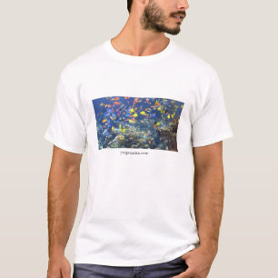 Camiseta Aquatics de JC