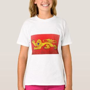 Camiseta Aquitania