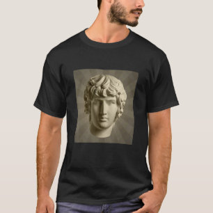 Camiseta Ar gráfico de Ilustracion de estatua de yeso de Gu