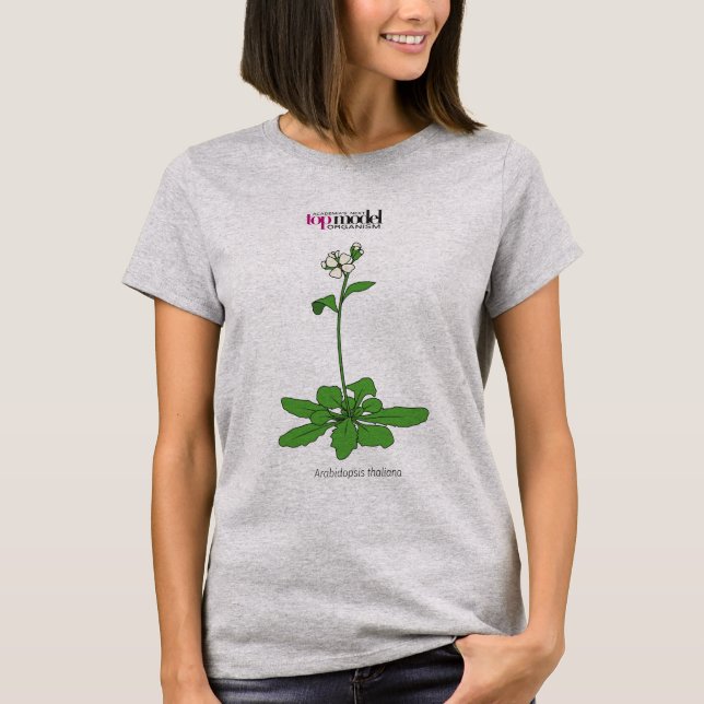 Camiseta Arabidopsis Thaliana (Anverso)