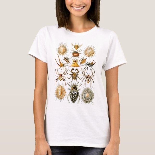 Camiseta Arachnida (arañas), Ernst Haeckel Bella Artes (Anverso)