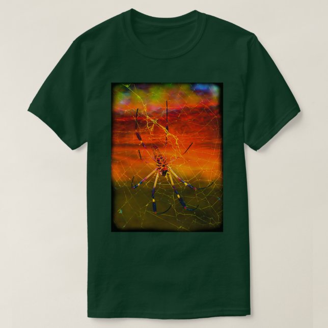 Camiseta Araña dorada de seda en Campo Alegre Colombia (Diseño del anverso)
