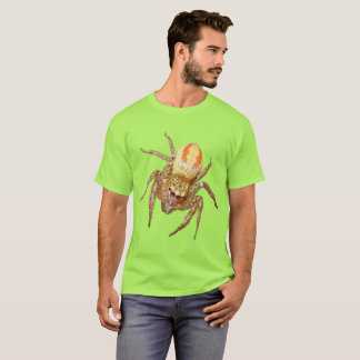 Camiseta Araña saltarina dimórfica (Maevia inclemens)