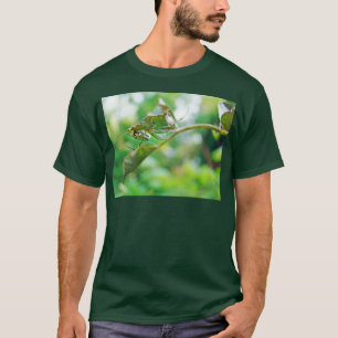 Camiseta Araña tejedora de orquídea - Leucauge venusta