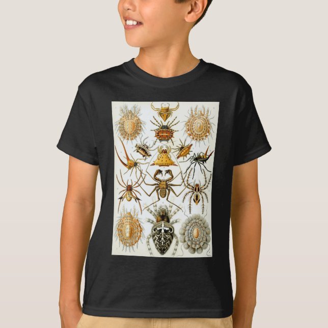 Camiseta Arañas de los arácnidos de Ernst Haeckel (Anverso)
