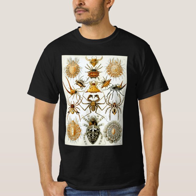 Camiseta Arañas o arácnidos de Ernst Haeckel (Anverso)
