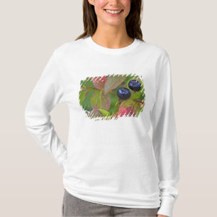 Camiseta Arándanos maduros en el Flathead Nacional