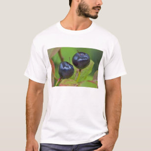Camiseta Arándanos maduros en el Flathead Nacional 2