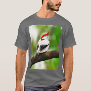 Camiseta Araripe Manakin