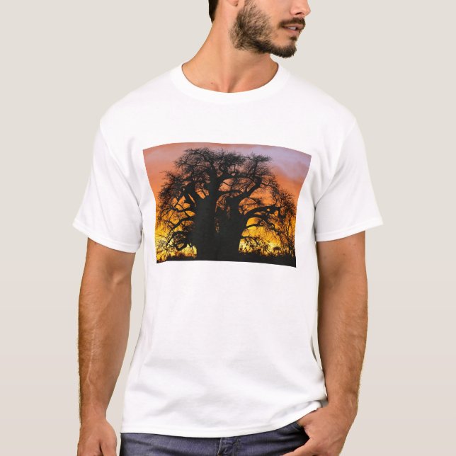 Camiseta árbol baobab africano, Adansonia digitata, (Anverso)