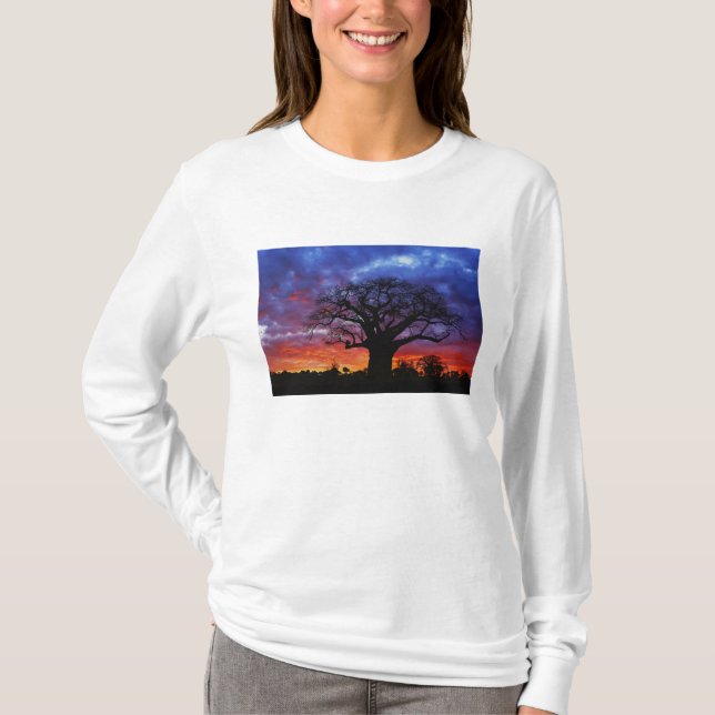 Camiseta árbol baobab africano, Adansonia digitata, 2 (Anverso)