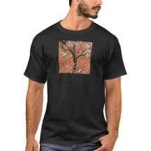 Árbol de albaricoque en flor junto a pared de ladr