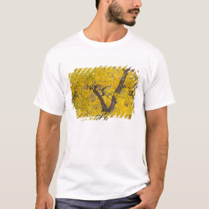 Camiseta Árbol de madera de algodón en colores de caída alt