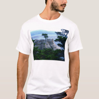 Camiseta Árbol de Monterey