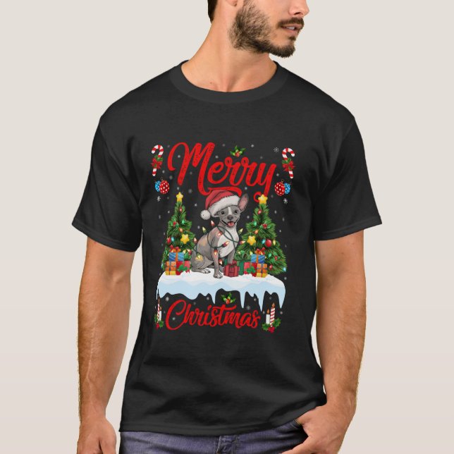 Camiseta Árbol de Navidad iluminando perros sin pelo Santa  (Anverso)