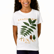 Árbol de pacana del territorio de Texas