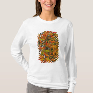 Camiseta Árbol de zumaque en color de otoño en Whitefish,