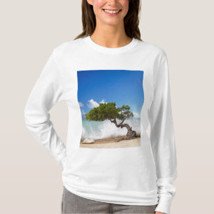 Camiseta Árbol Divi Divi, Playa Eagle, Aruba, Caribe