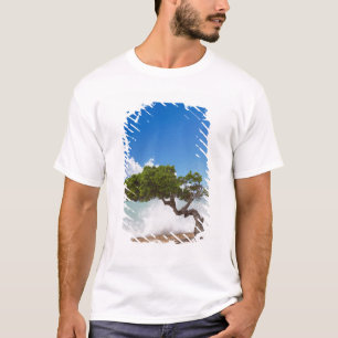 Camiseta Árbol Divi Divi, Playa Eagle, Aruba, Caribe