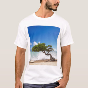 Camiseta Árbol Divi Divi, Playa Eagle, Aruba, Caribe