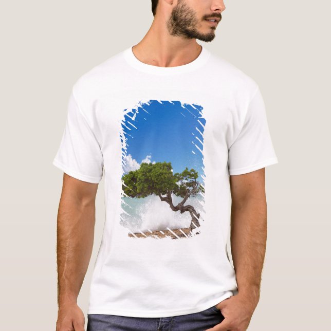 Camiseta Árbol Divi, Eagle Beach, Aruba, Caribe (Anverso)