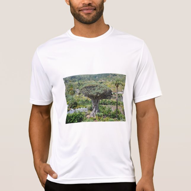Camiseta Árbol dragón en Tenerife (Anverso)